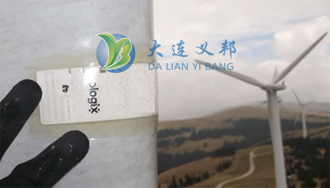 大連義邦引進奧地利智能風機防冰傳感系統(tǒng)